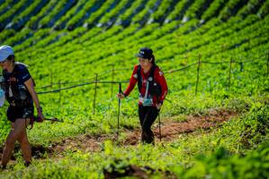 BIB: 
                            <button type="button" onclick="openModal(19161573)" class="btn btn-primary btn-sm float-right btn-popup" data-toggle="modal" data-target=".modal-high-quality">
                        <i class="fas fa-shopping-cart"></i> Add to Cart
                    </button>
                                            <button type="button" onclick="isThisMe(19161573, true)" class="btn btn-success btn-sm float-right btn-popup btn-isme hidden" data-toggle="tooltip" data-placement="bottom" title="นี่คือรูปของคุณใช่ไหม คลิกที่นี่เพื่อเอาเข้าอัลบั้ม">
                        <i class="fas fa-plus"></i> Add to album
                    </button>
                    <button type="button" onclick="isThisMe(19161573, false)" class="btn btn-warning btn-sm float-right btn-popup btn-isnotme hidden">
                        <i class="fas fa-ban"></i> Remove from album
                    </button>